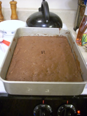 (brownie batter. stay tuned for the baked details.)